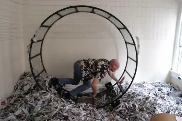 human sized hamster wheel