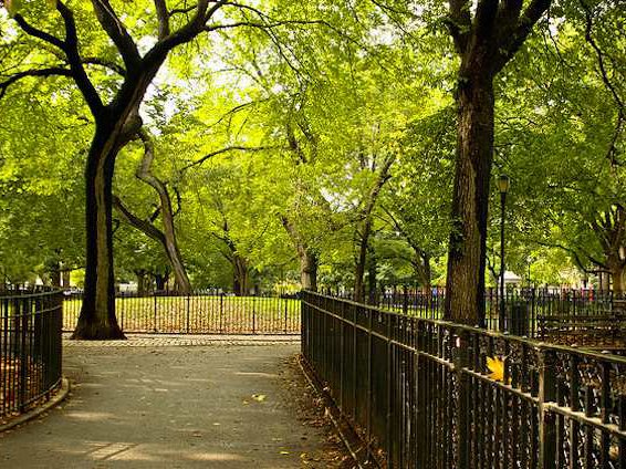 Woman Allegedly Raped In Tompkins Square Park Gothamist