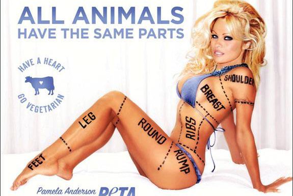 Pamela anderson spreading pussy - Real Naked Girls