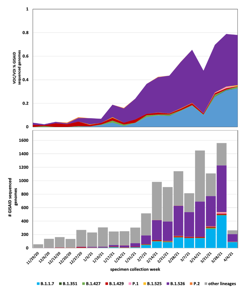 Two graphs showing the bulk of cases that undergo genomic sequencing are variants from the U.K. or New York City.