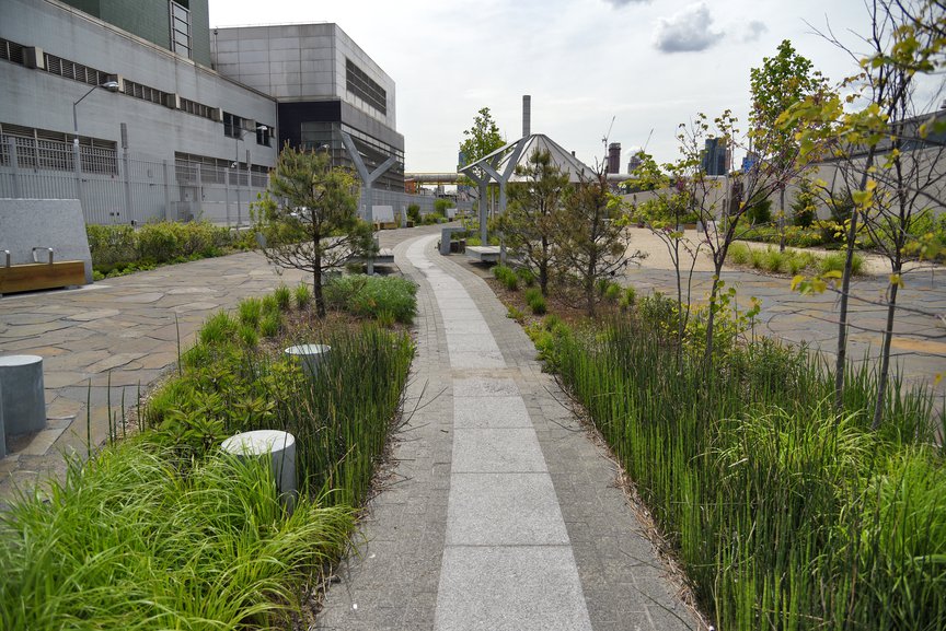 A rainwater wetlands in section three of the nature walk, May 7th, 2021