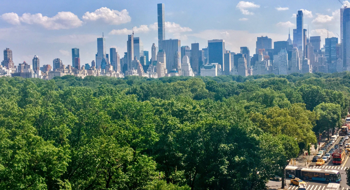 How Trees Act As NYC’s “Natural Air Conditioning Units”