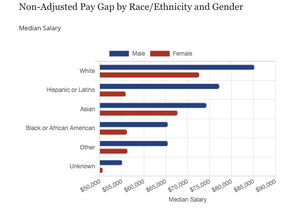 A chart from the study showing racial and gender pay disparity